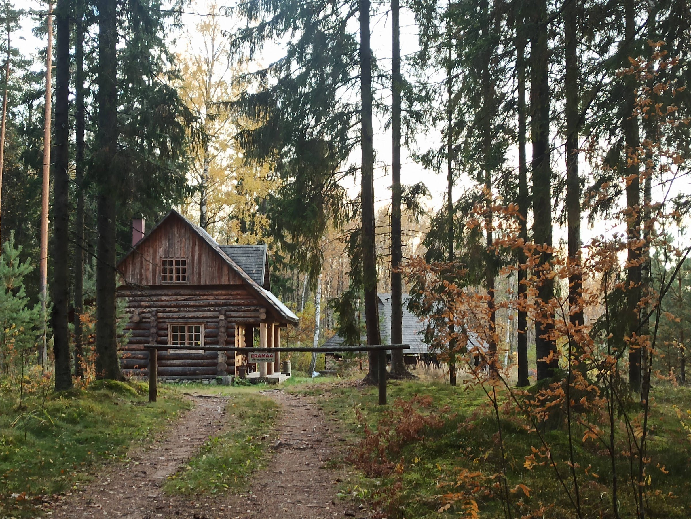 RMK Kaiu järve lõkkekoht